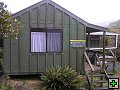 thn_steward island 031.jpg